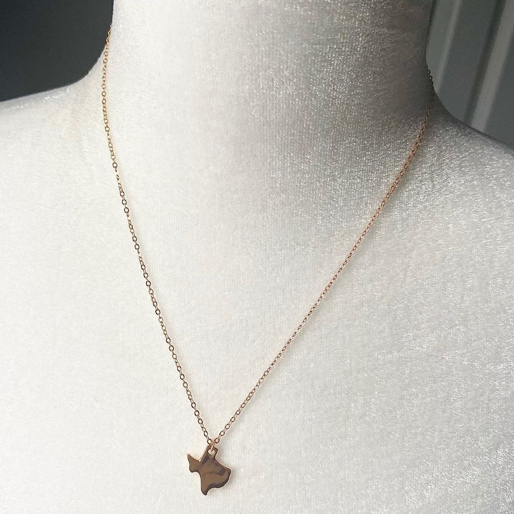 Sterling silver Texas state rose gold necklace